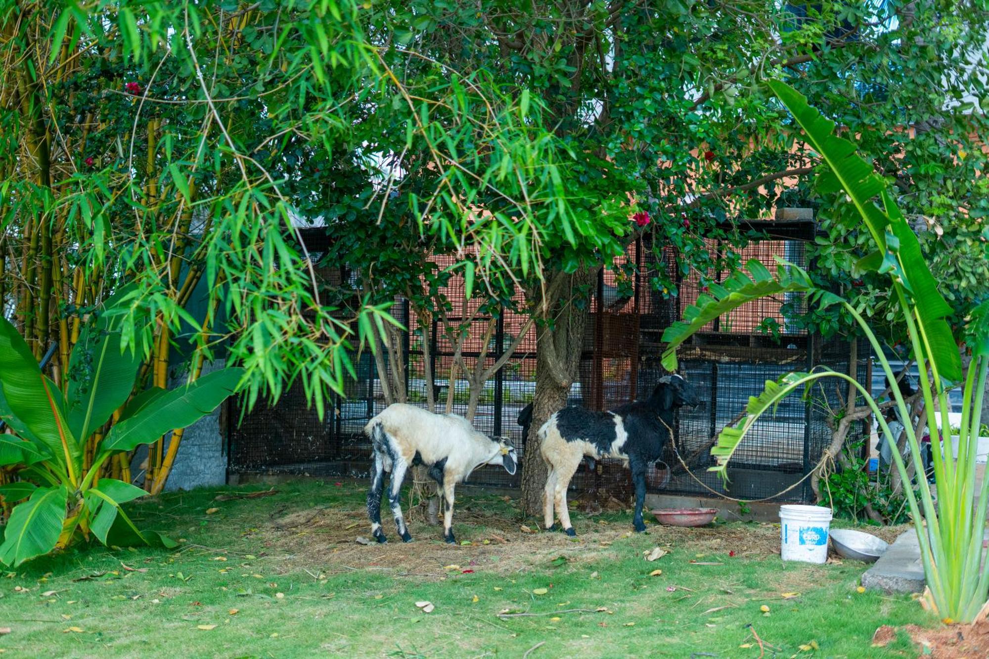 Serene Resort Hyderabad Shamshabad Buitenkant foto
